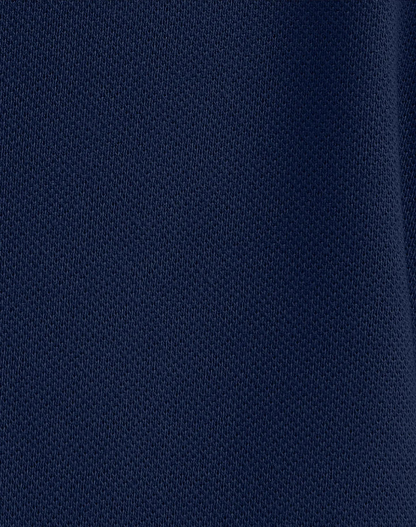 Hanes Men's Pique Polo Shirt (Big & Tall Sizes Available)