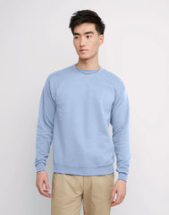 Hanes EcoSmart Unisex Fleece Sweatshirt (Big & Tall Sizes Available)