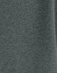 Hanes Men's Pique Polo Shirt (Big &amp; Tall Sizes Available)