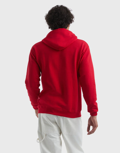 Hanes EcoSmart Unisex Fleece Hoodie (Big &amp; Tall Sizes Available)