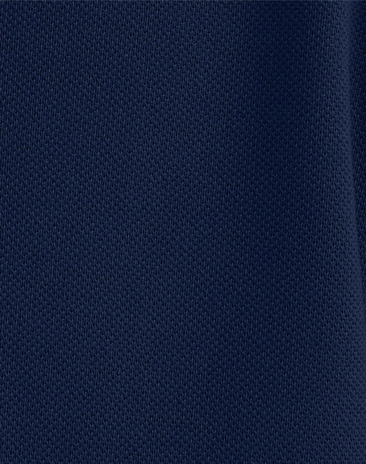 Hanes Men's Pique Polo Shirt (Big &amp; Tall Sizes Available)