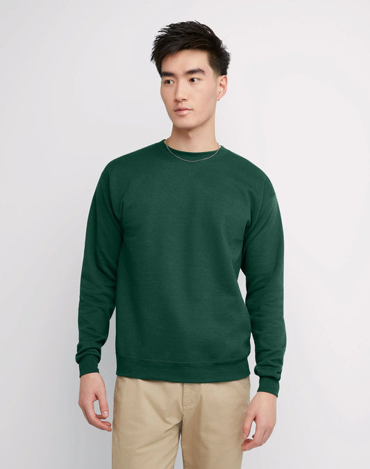 Hanes EcoSmart Unisex Fleece Sweatshirt (Big &amp; Tall Sizes Available)
