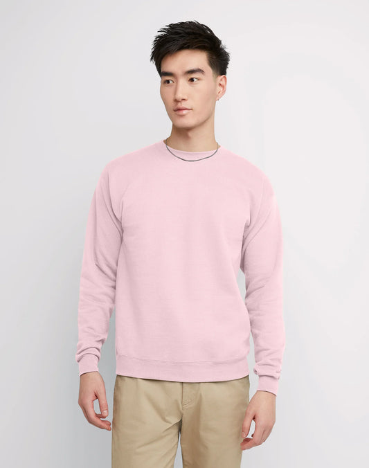 Hanes EcoSmart Unisex Fleece Sweatshirt (Big &amp; Tall Sizes Available)