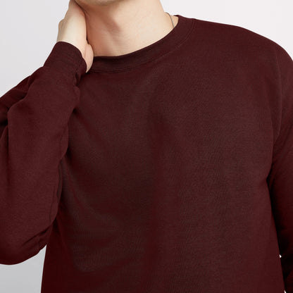 Hanes EcoSmart Unisex Fleece Sweatshirt (Big &amp; Tall Sizes Available)