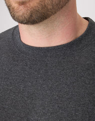 Hanes EcoSmart Unisex Fleece Sweatshirt (Big &amp; Tall Sizes Available)