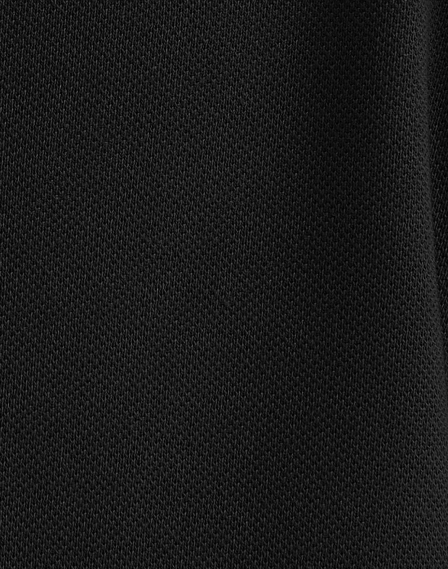 Hanes Men's Pique Polo Shirt (Big &amp; Tall Sizes Available)