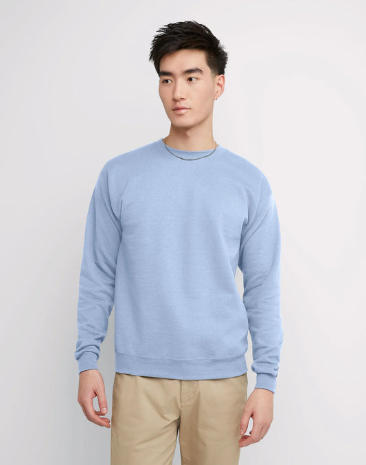 Hanes EcoSmart Unisex Fleece Sweatshirt (Big &amp; Tall Sizes Available)